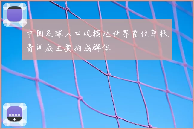 中国足球人口规模达世界首位草根青训成主要构成群体