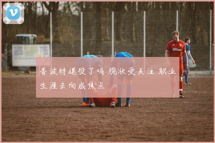 香波特退役了吗 现状受关注 职业生涯去向成焦点