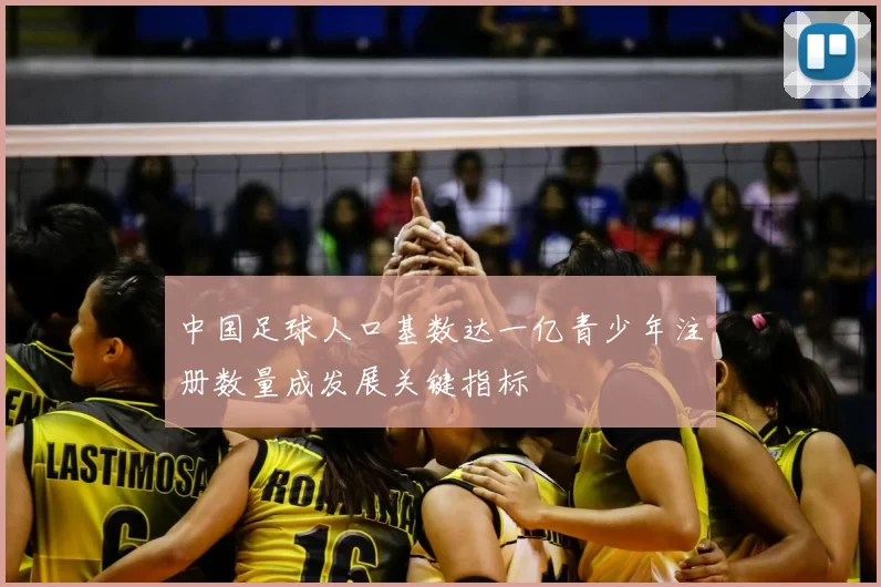 中国足球人口基数达一亿青少年注册数量成发展关键指标