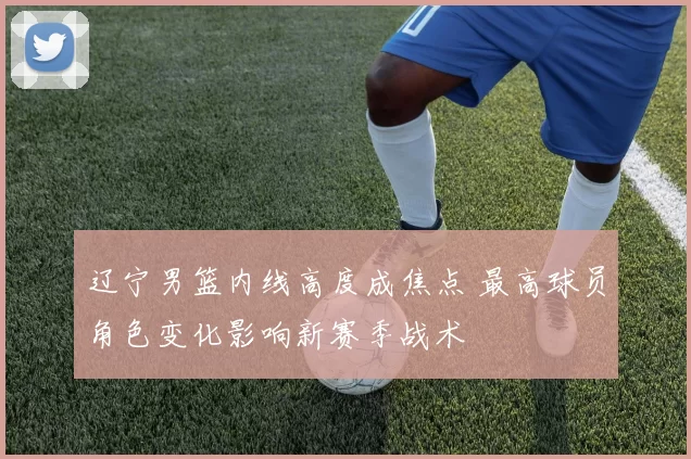 辽宁男篮内线高度成焦点 最高球员角色变化影响新赛季战术